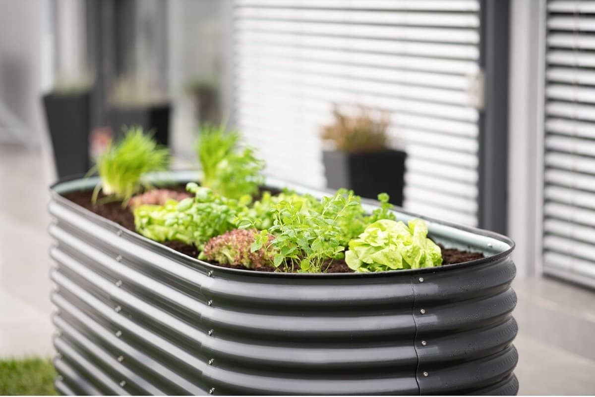 Metalen Plantenbak Westmann ISPB170H-A - Bloembak - Tuin Hochbeed - 240x80x82 cm