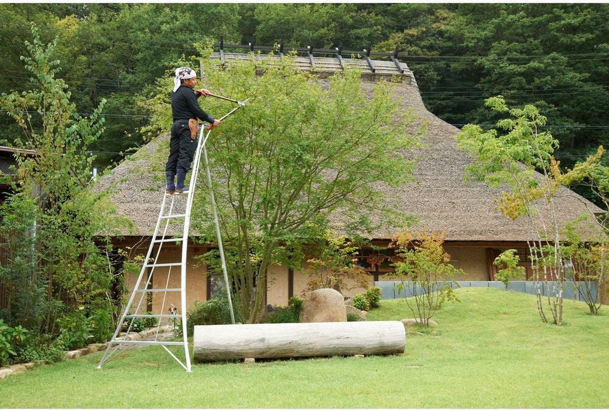 Niwaki Driepoot Tuinladder 300 cm Snoeiladder Tripod Ladder - Plukladder NW03000