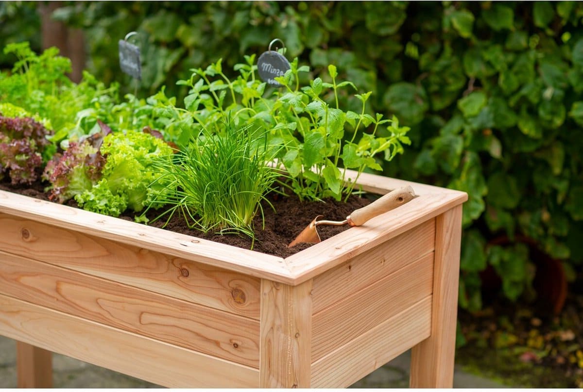 Westmann Verhoogde Plantenbak WM102422 - Moestuin op poten