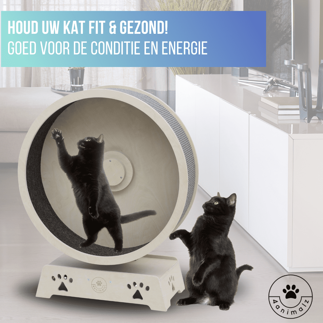 4animalz® Katten Loopwiel 75 cm - Looprad Hout met Sisal