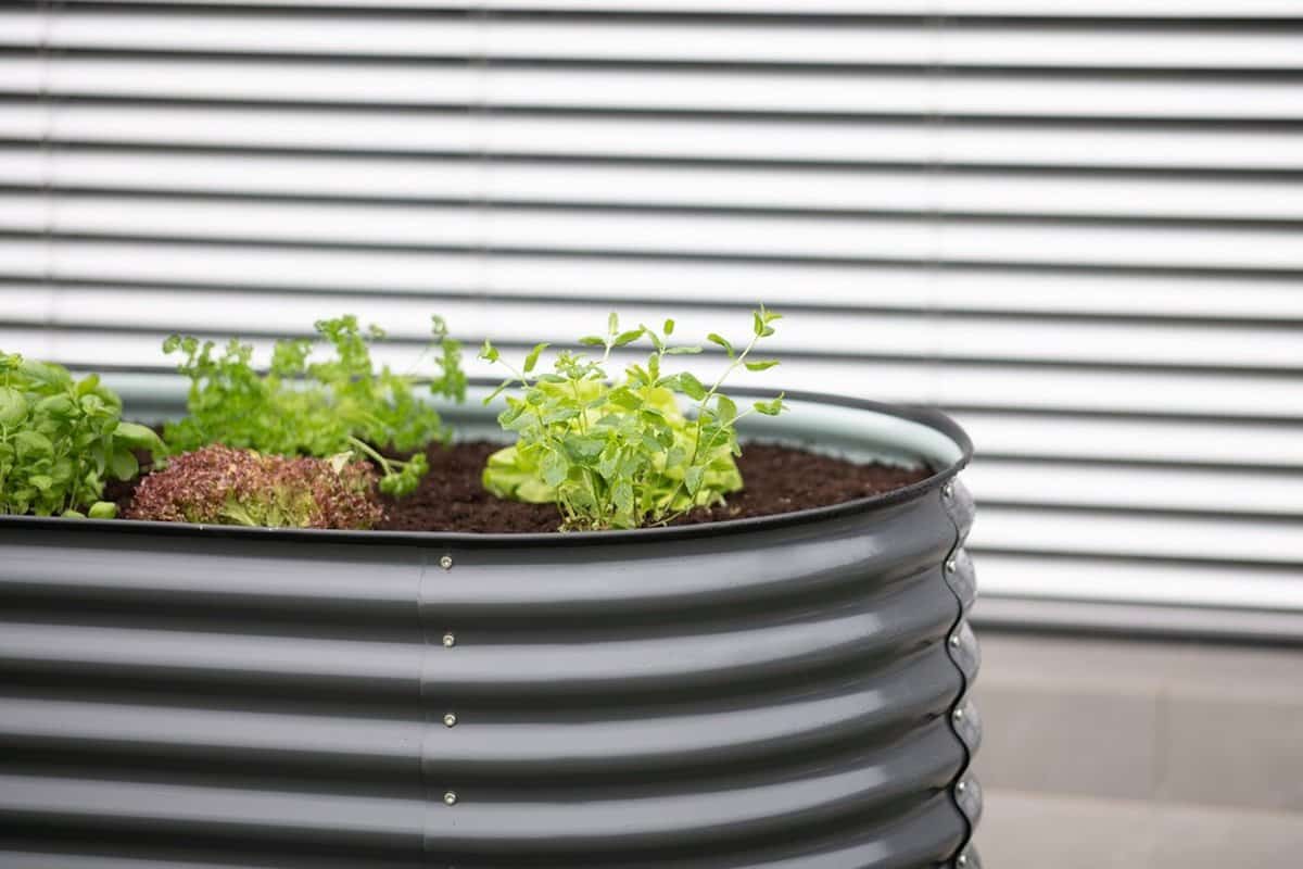 Metalen Plantenbak Westmann ISPB170H-A - Bloembak - Tuin Hochbeed - 240x80x82 cm
