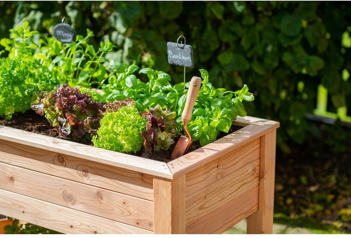 Westmann Plantenbak WM102420 - Tuin Hochbeed
