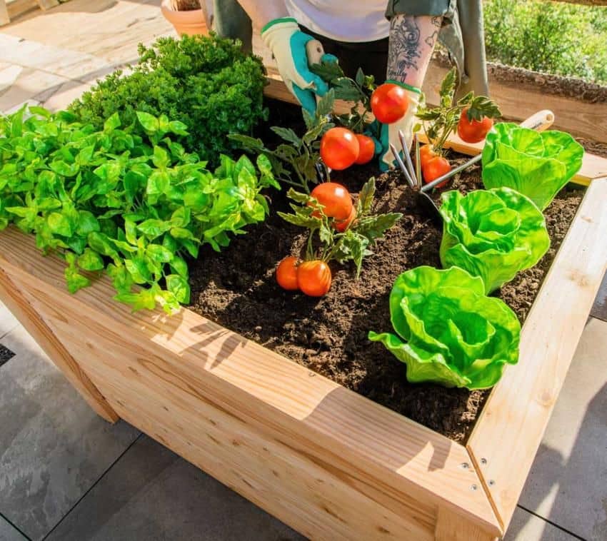 Westmann Plantenbak Kruidenbak WMHL100 - 100x65x66 cm