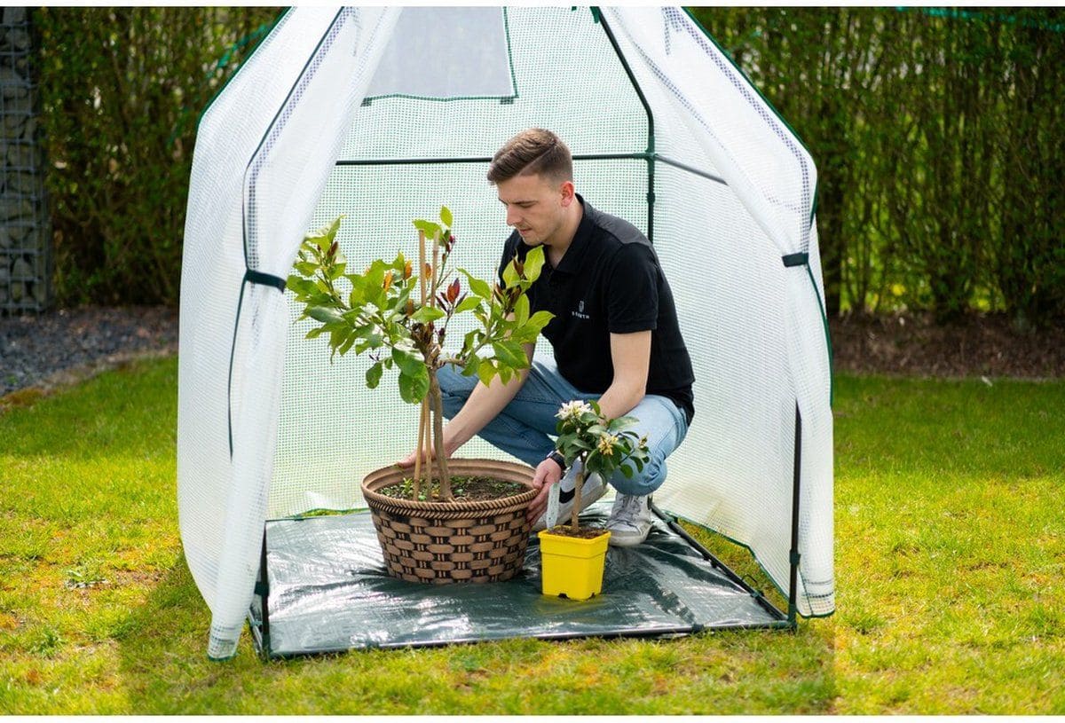 Westmann Chili - Overwinteringstent voor planten - 12x120x180 cm