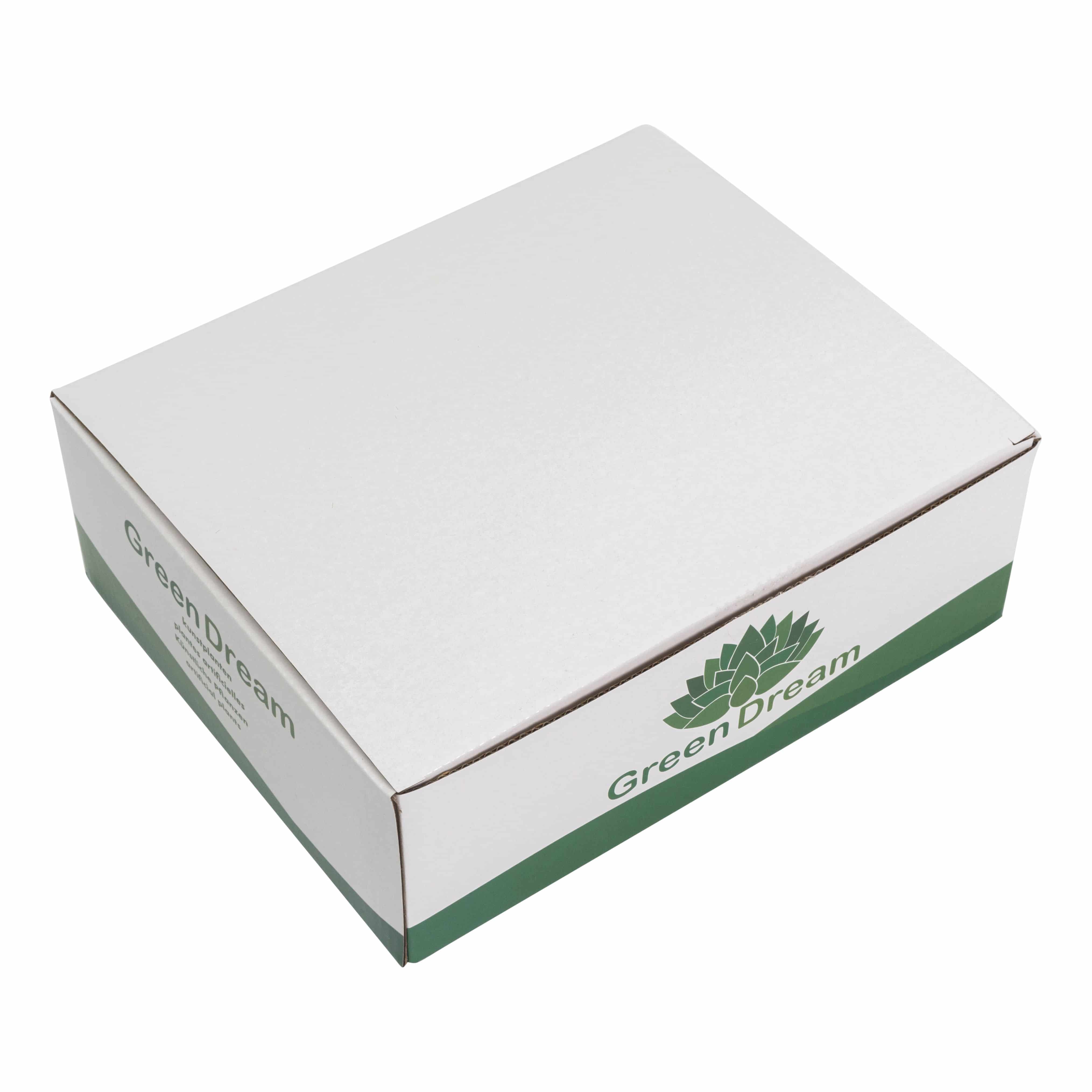 GreenDream Mini Kunstplanten - Vetplanten in Pot 6 stuks - Cadeautip