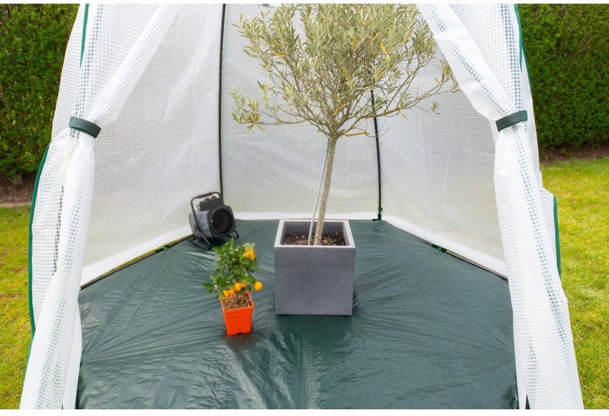 Westmann Avocado - Overwinteringstent voor planten - 250x250 cm