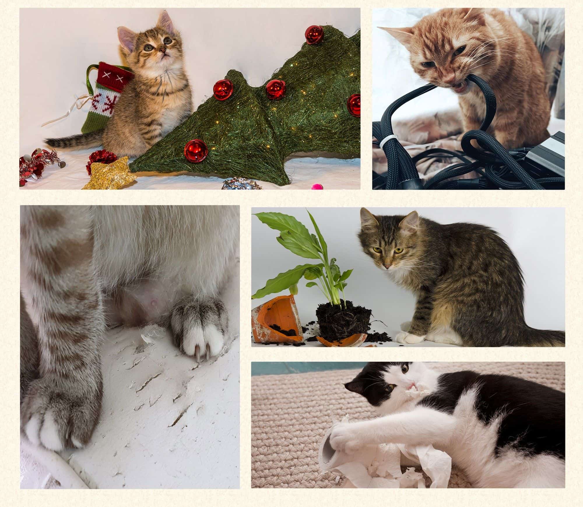 Krabpaal met Sisal met Zacht Pluche Kattenspeeltje - 30X50x81cm