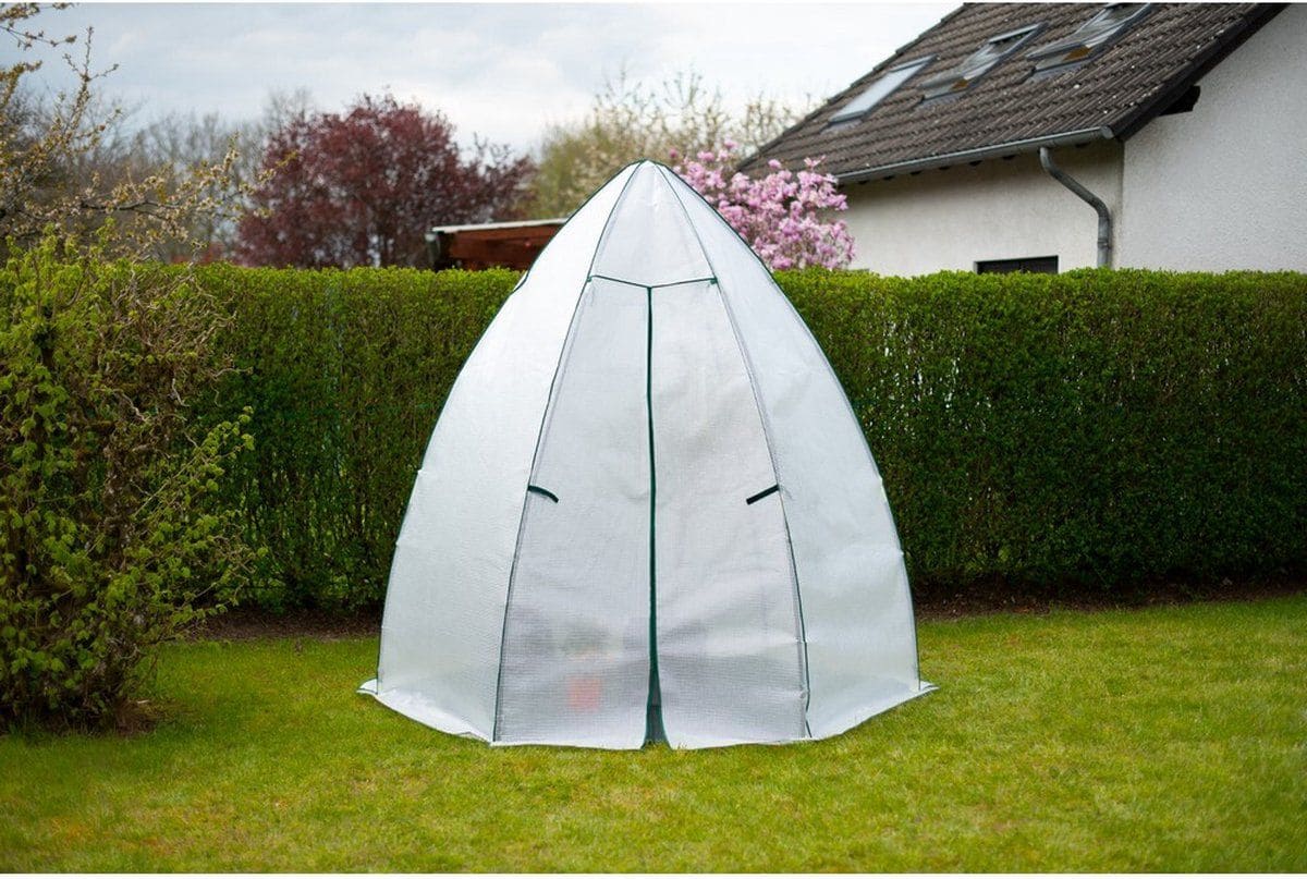 Westmann Avocado - Overwinteringstent voor planten - 250x250 cm