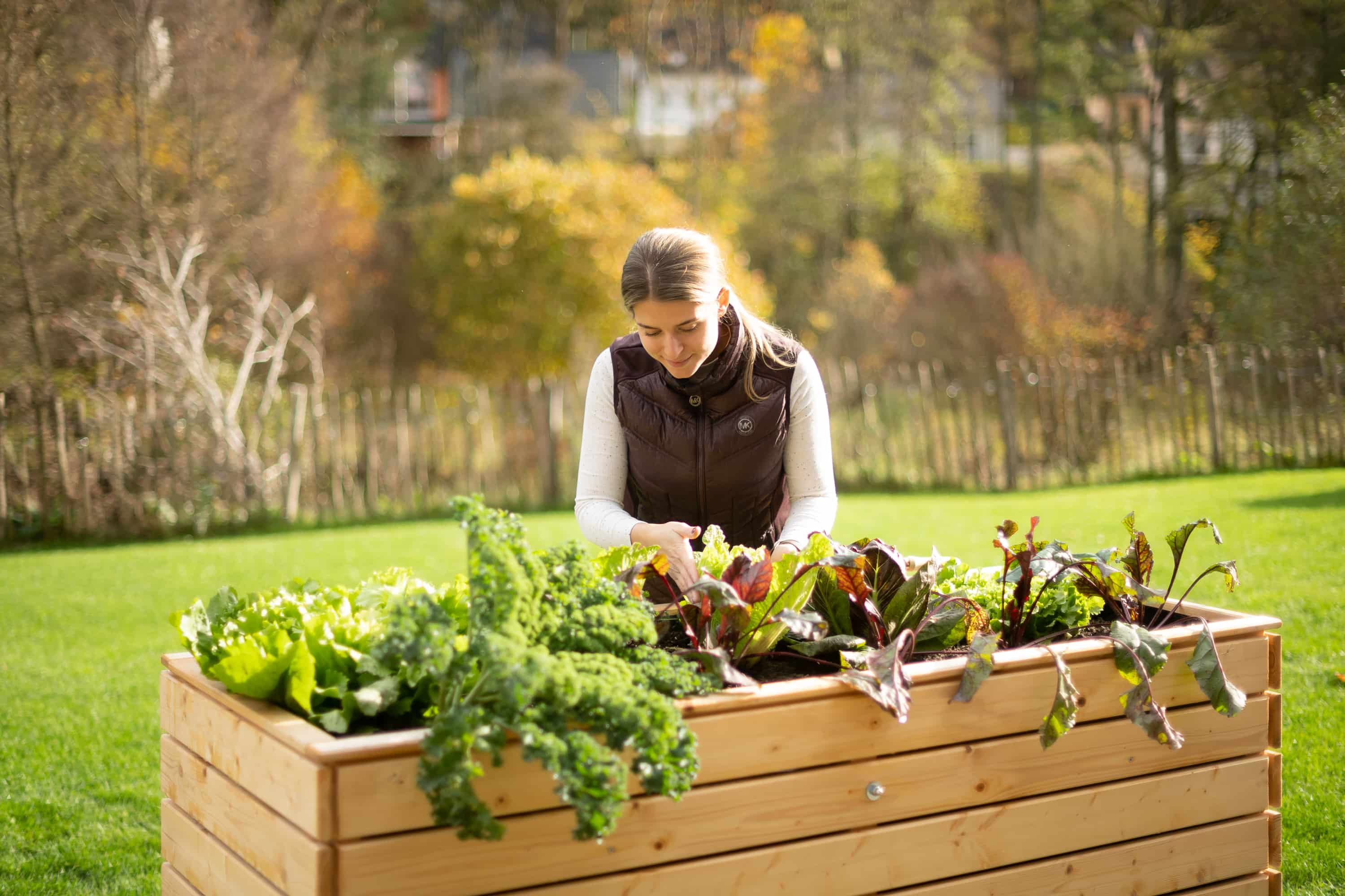 Westmann Houten Verhoogde Plantenbak Moestuin Asket XL - 160x70x90cm
