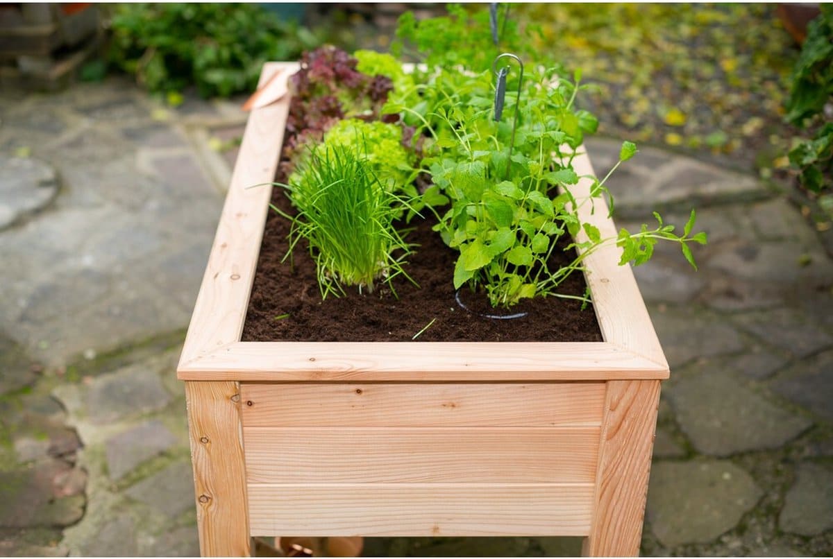 Westmann Verhoogde Plantenbak WM102422 - Moestuin op poten